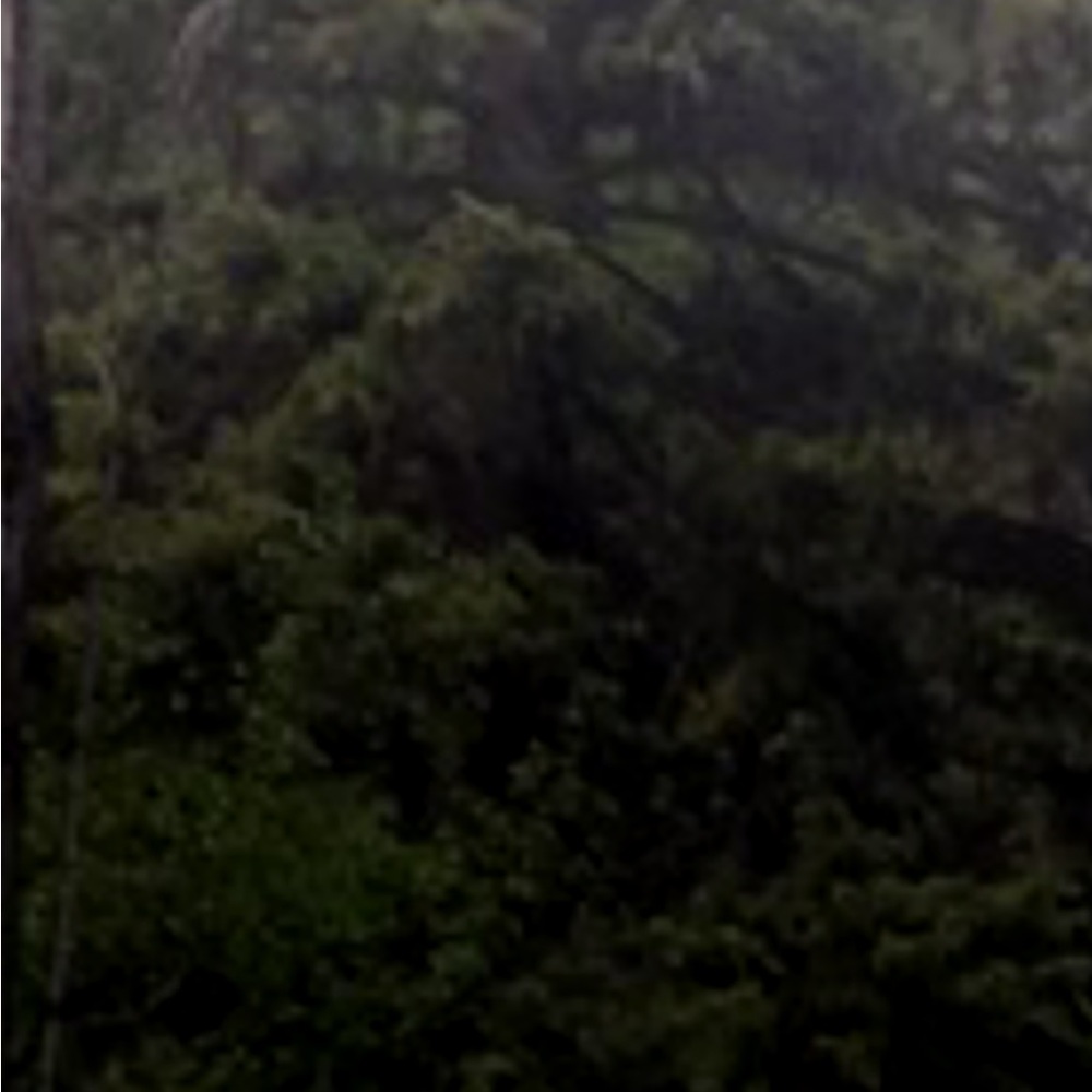 Meet your Posher, Dipper